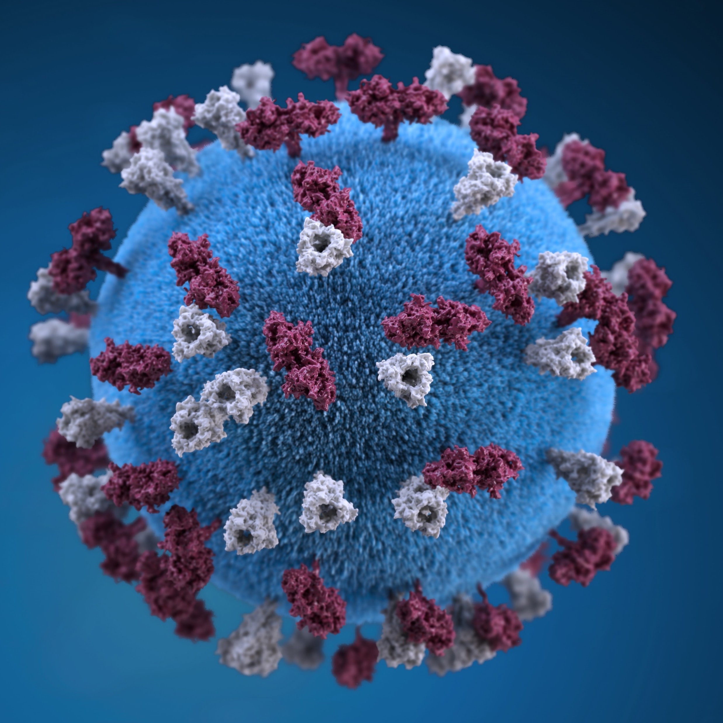 virus-unsplash-1.jpg Virus unsplash 1